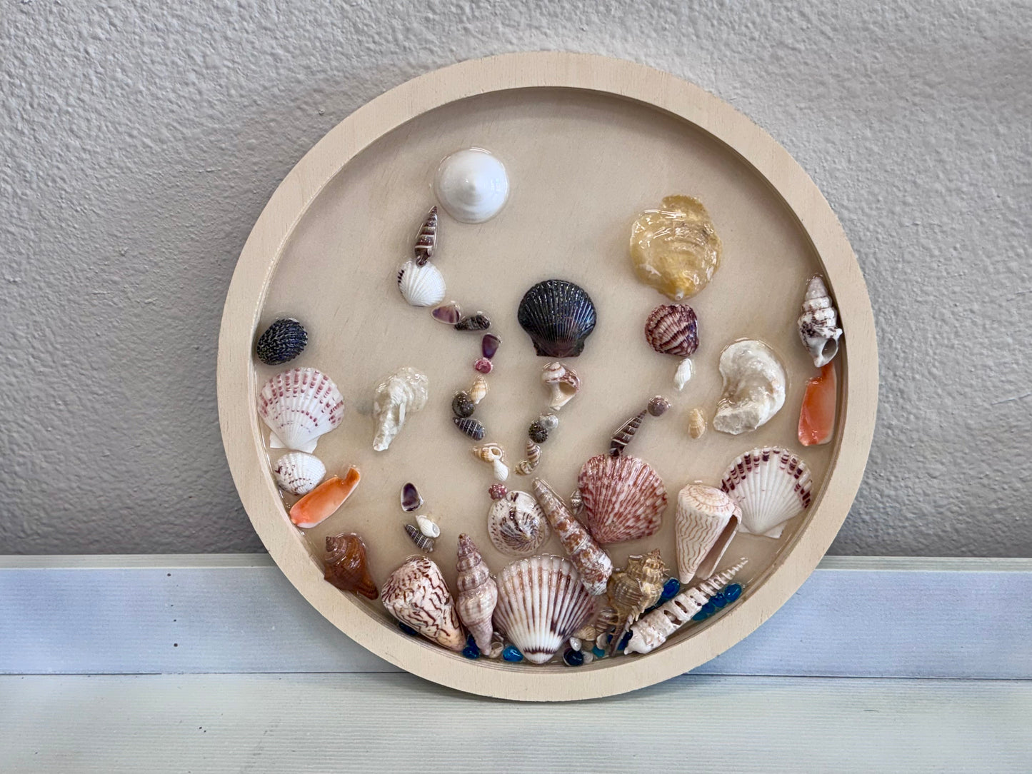 Round Seashell Art