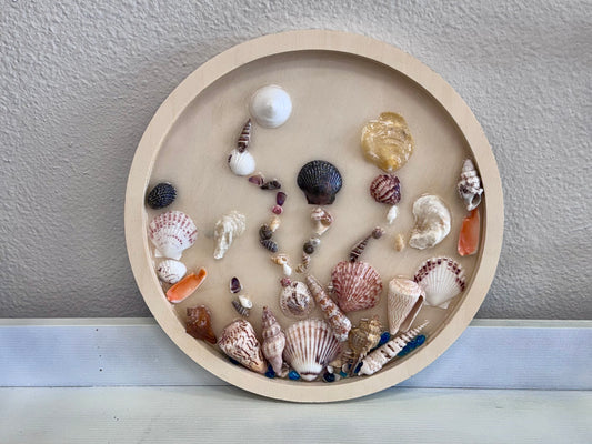 Round Seashell Art